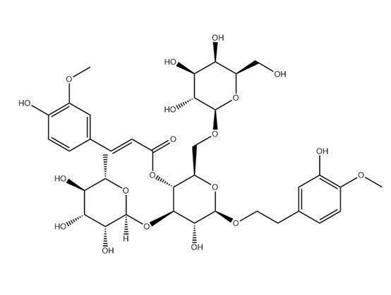 焦地黃苯乙醇甙B1