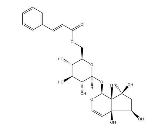 6’-O-肉桂酰基哈巴苷