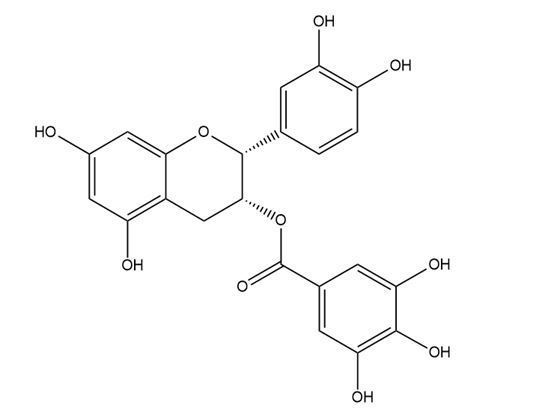 表兒茶素沒食子酸酯