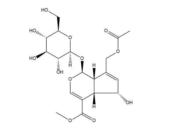 車葉草苷酸甲酯