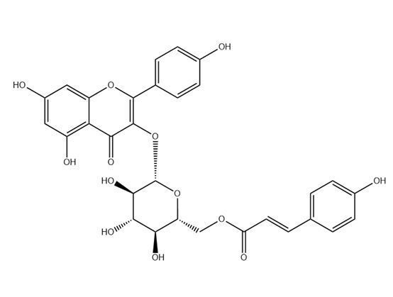 椴樹苷（分析標準品）