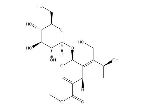10-羥基大車前草苷