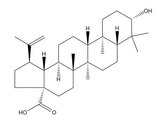 白樺脂酸（分析標準品）