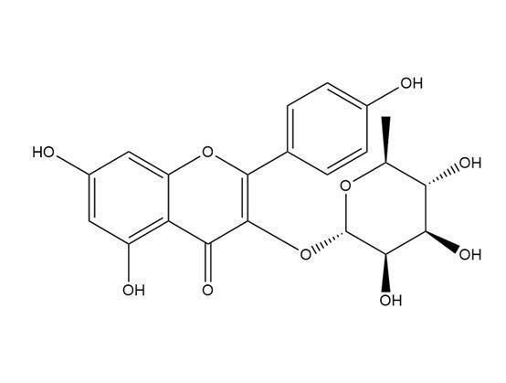山柰酚3-鼠李糖苷