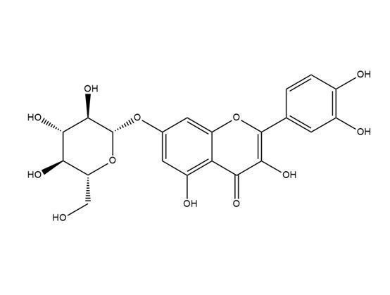 槲皮素7-葡萄糖苷