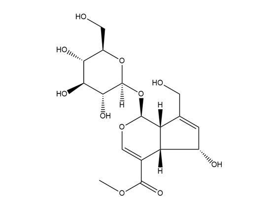 去乙酰車葉草酸甲酯