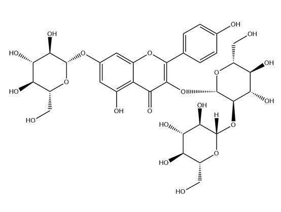 山柰酚-3-O-槐二糖-7-O-葡萄糖苷