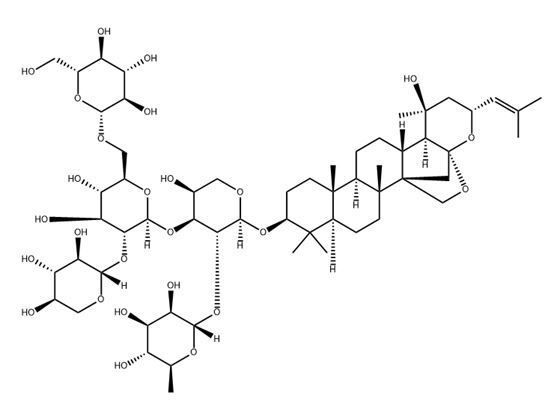 酸棗仁皂苷A（分析標準品）