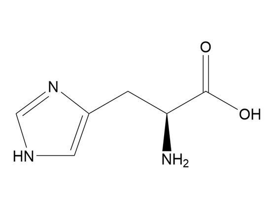 L-組氨酸