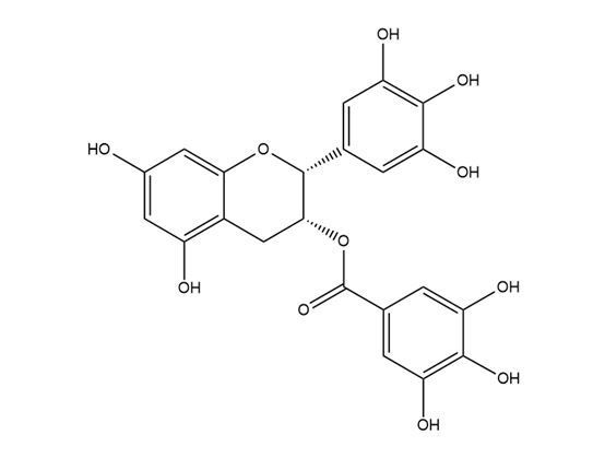 表沒食子兒茶素沒食子酸酯（分析標準品）